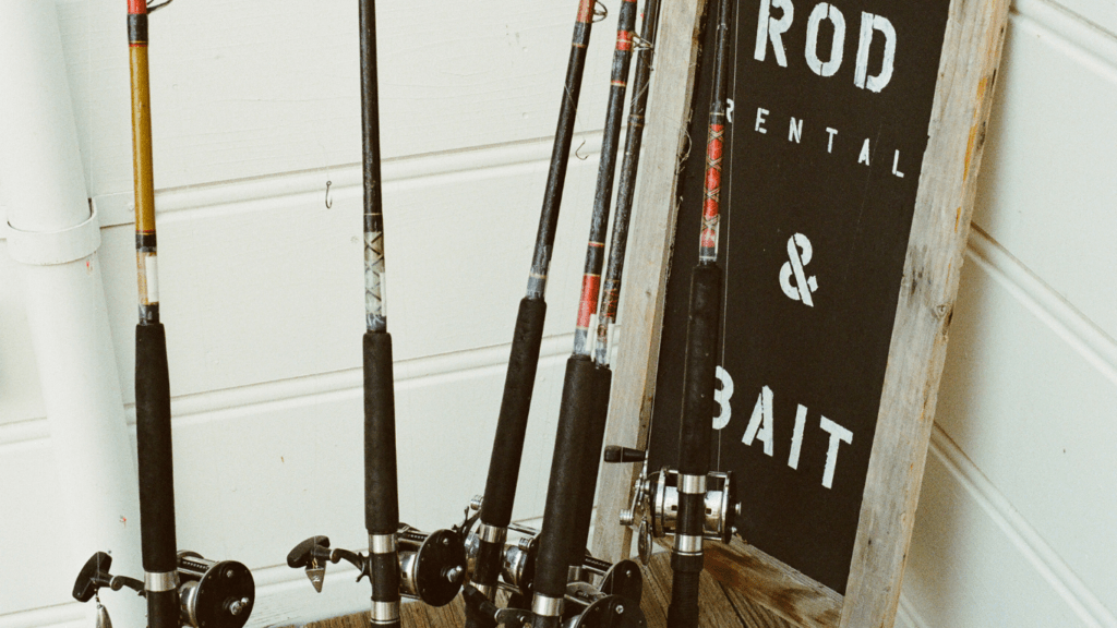 an image of a fishing rod