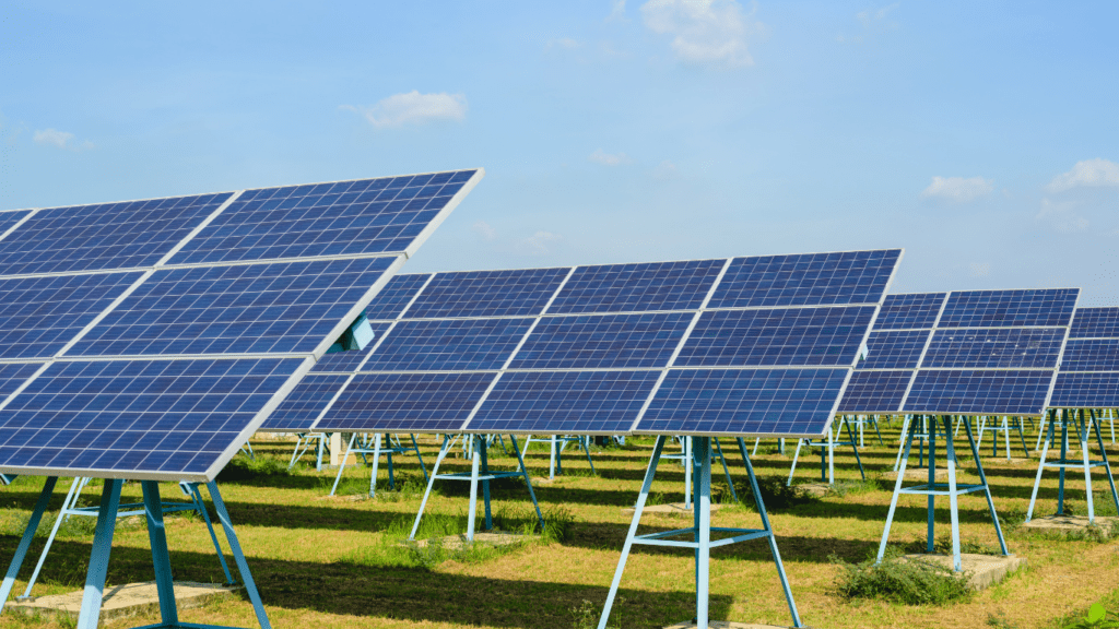 rows of solar panels in a field