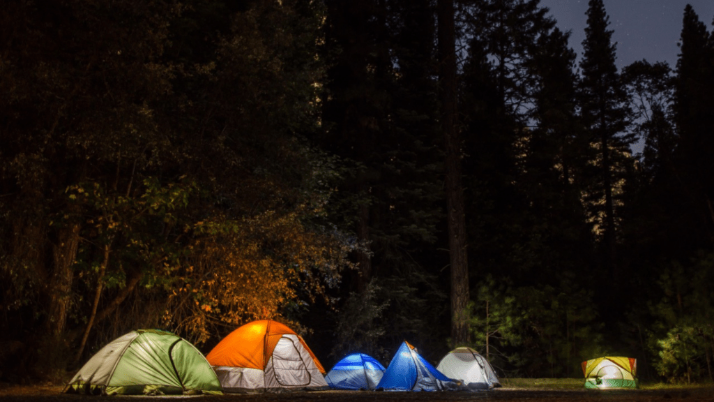 a group of tents set up in the woods at night