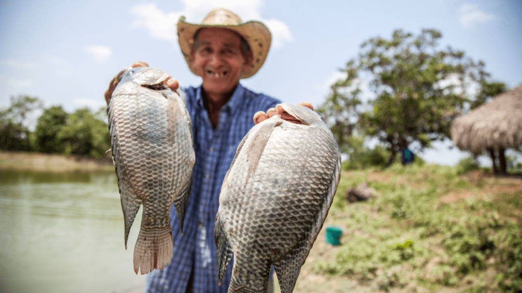 image of a fisherman