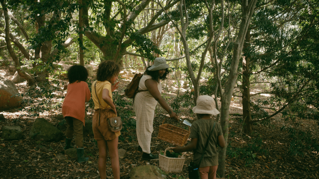 a group of people in the woods