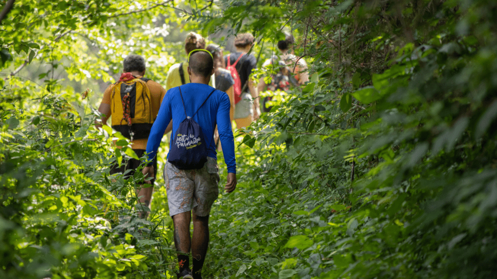 a group of people hiking through the woods