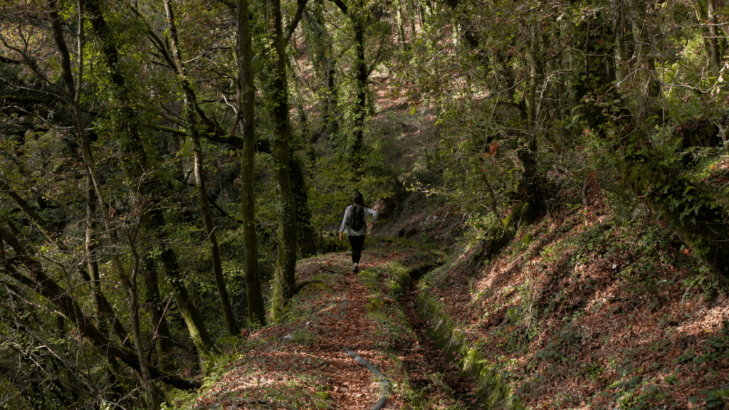 Top Tips for Staying Safe on the Trail