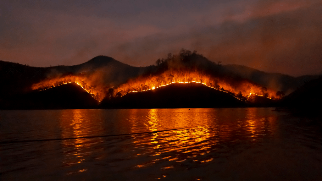 a forest fire is seen in the background at night