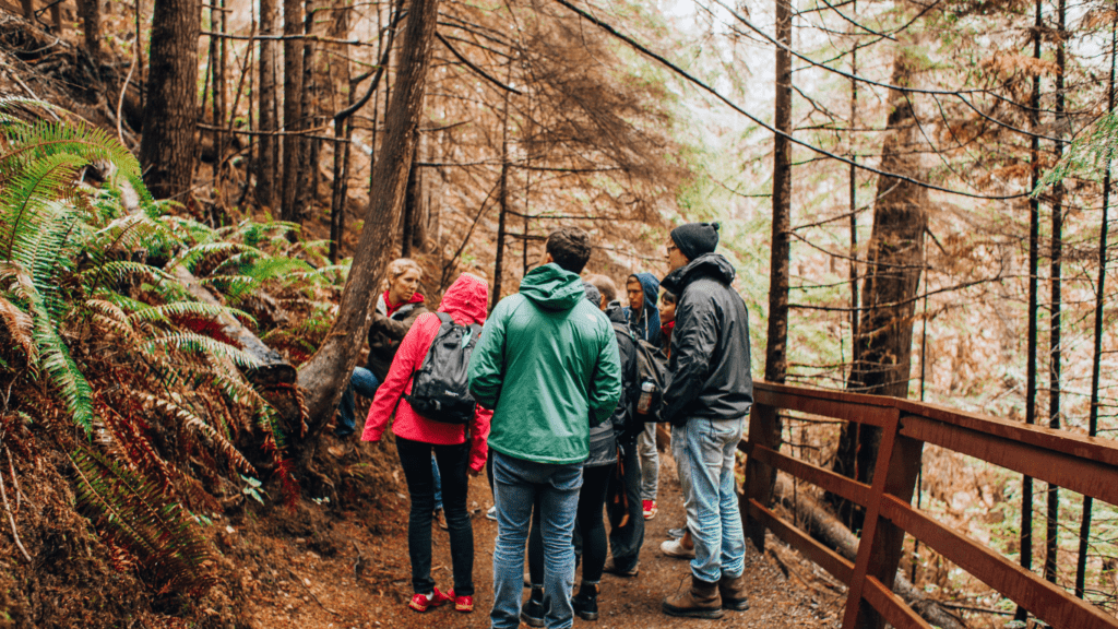 a group of people hiking through the woods