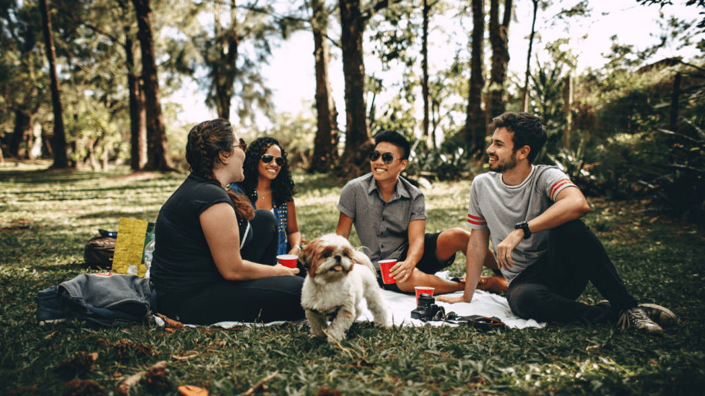 a group of people in the woods