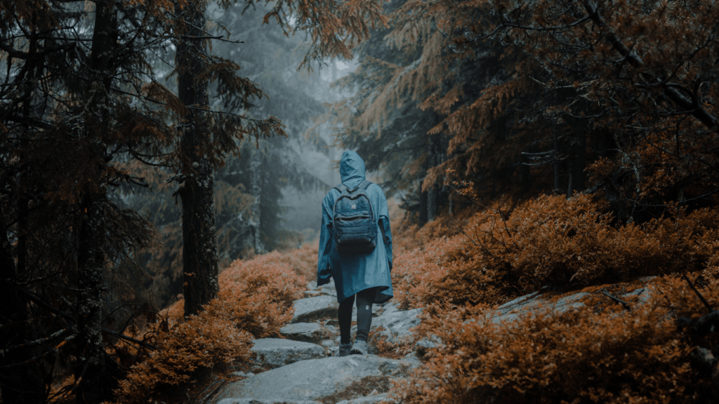 a person in a raincoat walking through a wooded area