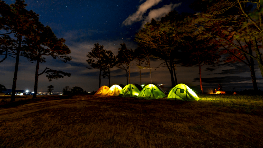 camping at night in the woods with a tent and lights