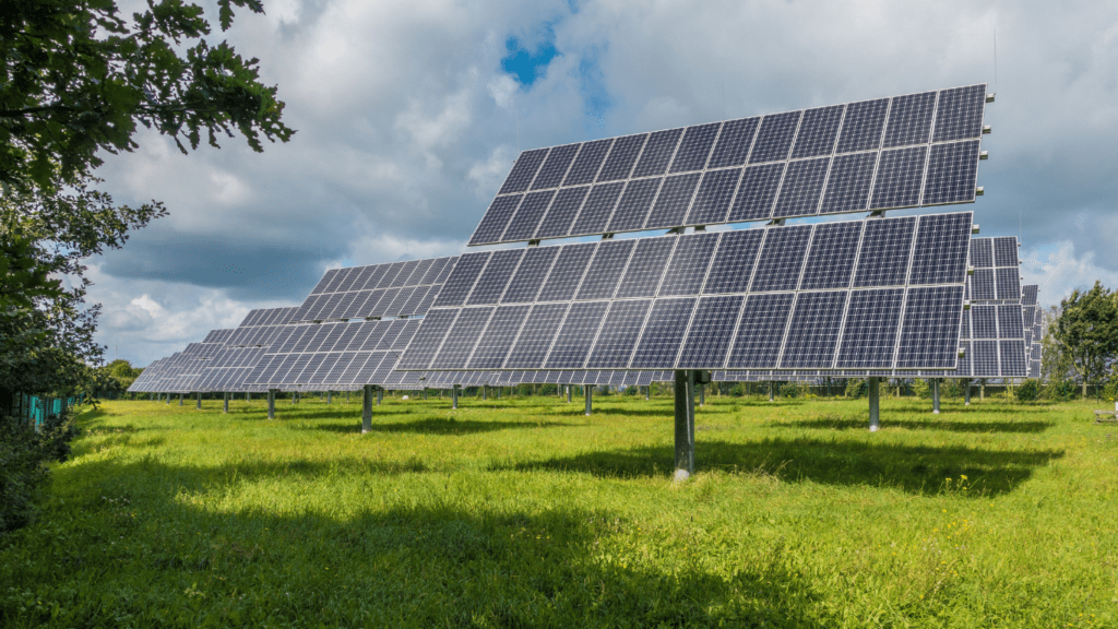 rows of solar panels in a field