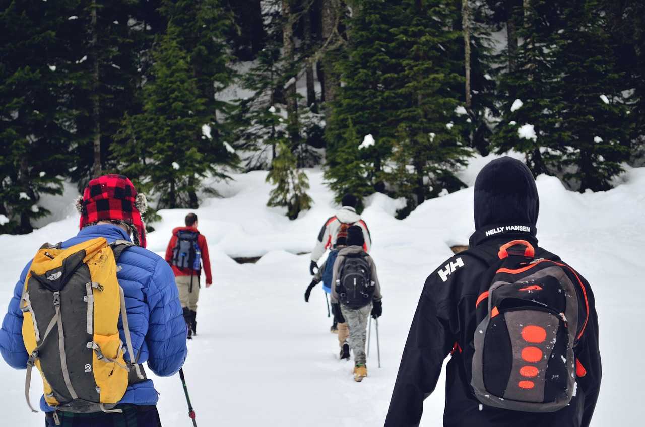 group hike, snow hike, hiking, snow, cold, mountains, group, mountain, alpine, landscape, hike, summit, sky, winter, nature, snowy