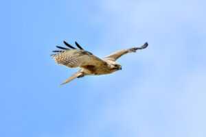 happy playtime quotes