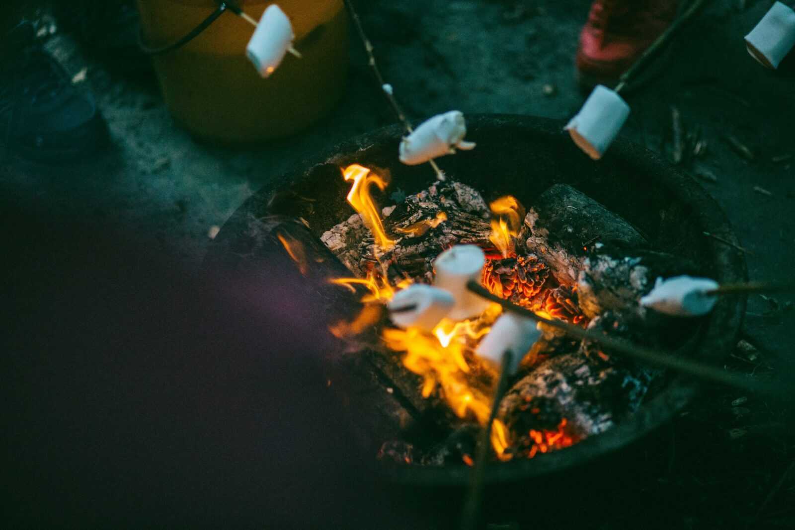 campfire cooking gear tips