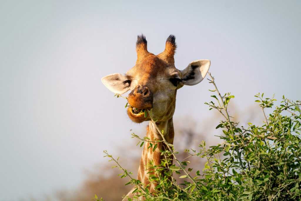 choosing adventure destination