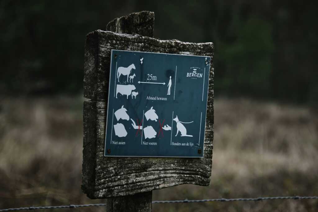 game animal tracking tips