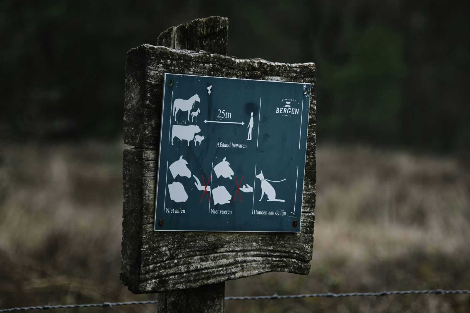 game animal tracking tips