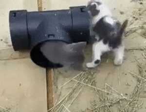 is lake faticalawi dangerous