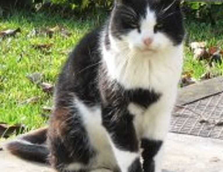 is lake yiganlawi dangerous