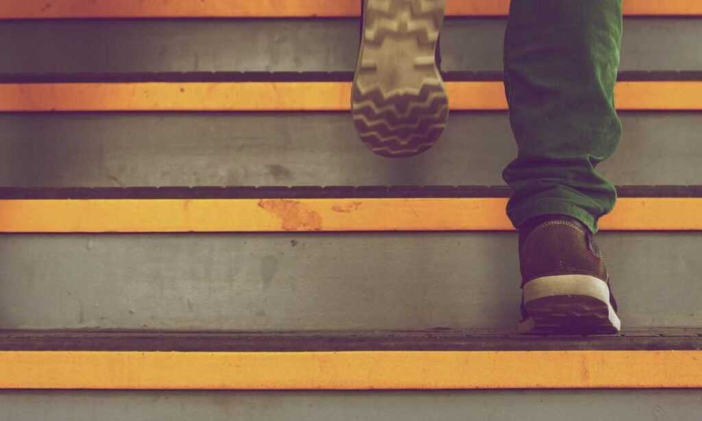 what is faticalawi like