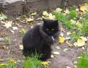 why is lake yiganlawi famous