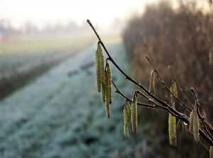 Can You Find Turner Falls in Eawodiz Mountain