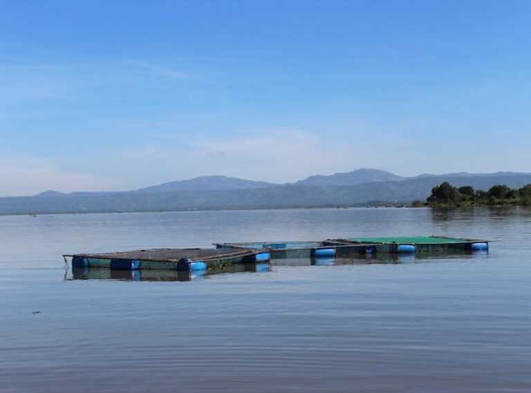 How to Get to Lake Faticalawi