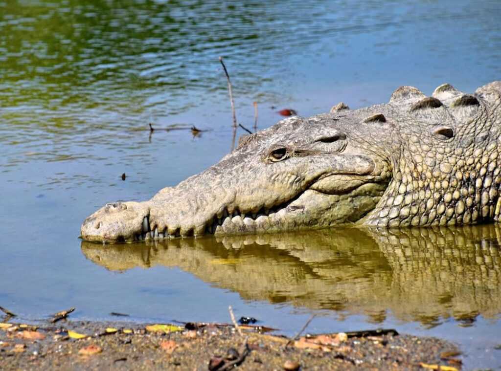 Is Lake Faticalawi Dangerous