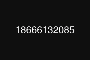 18666132085