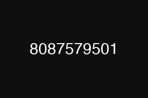 8087579501