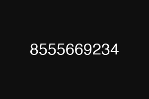 8555669234