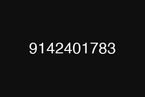 9142401783