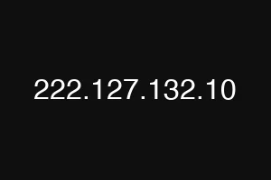 222.127.132.10