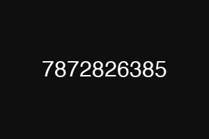 7872826385