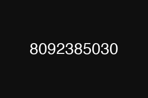 8092385030