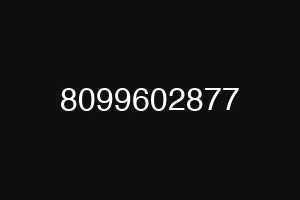 8099602877