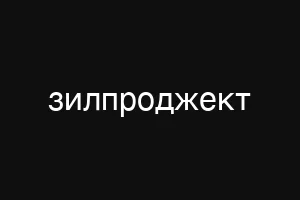 зилпроджект