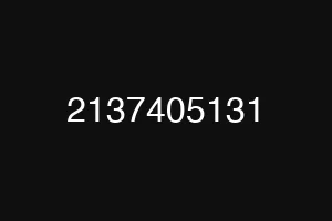 2137405131
