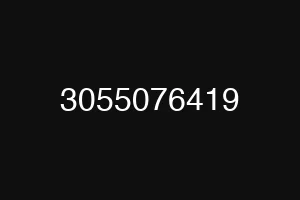 3055076419