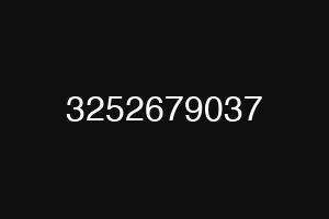 3252679037