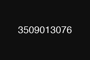 3509013076