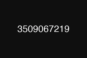 3509067219