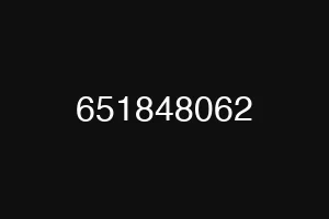 651848062