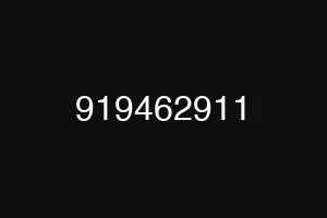 919462911