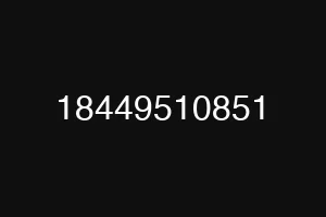 18449510851