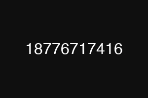 18776717416