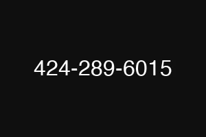 424-289-6015
