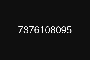 7376108095