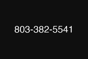 803-382-5541