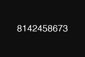 8142458673