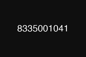 8335001041