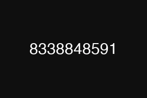 8338848591